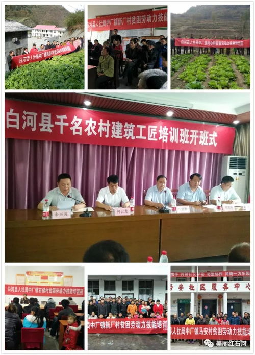 扶技能促就业助产业 中厂镇脱贫攻坚工作纪实 十二