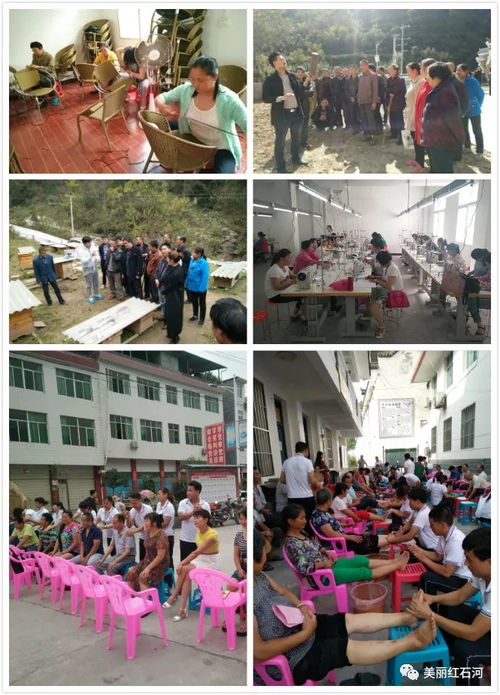 扶技能促就业助产业——中厂镇脱贫攻坚工作纪实（十二）职业技能